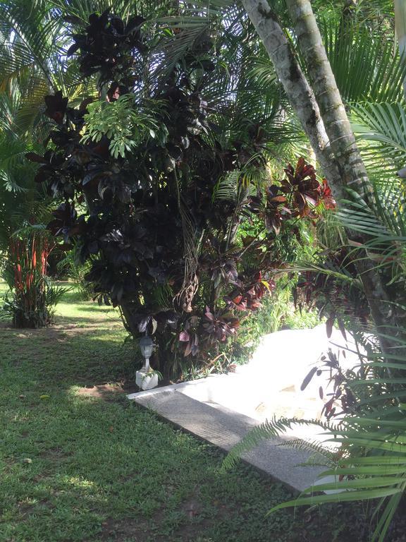 Magellan Boutique Hotel Cahuita Eksteriør billede