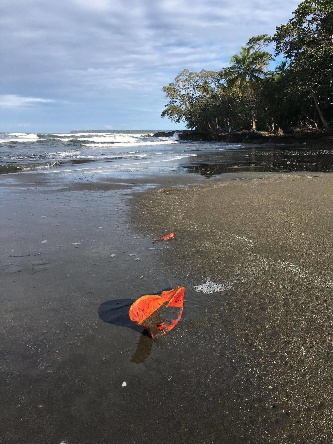 Magellan Boutique Hotel Cahuita Eksteriør billede