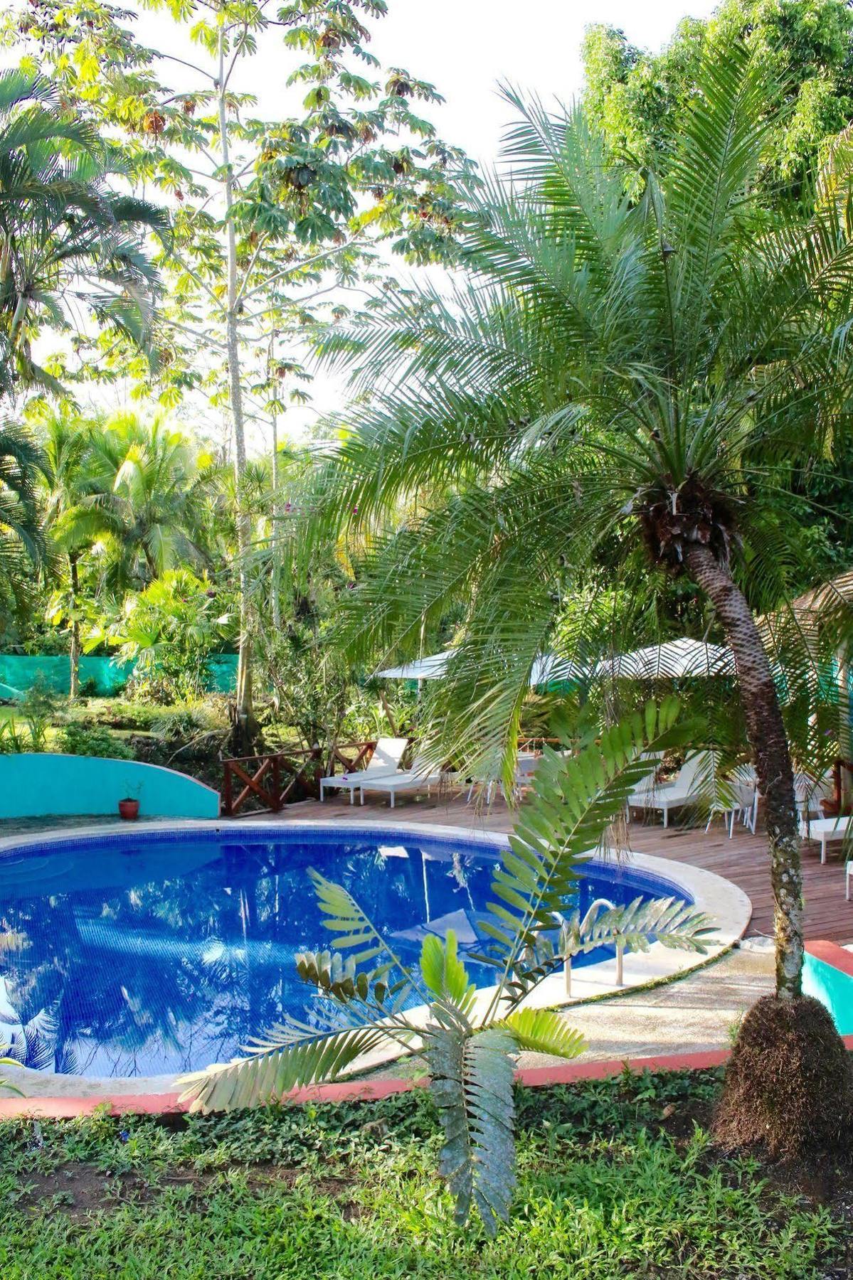 Magellan Boutique Hotel Cahuita Eksteriør billede