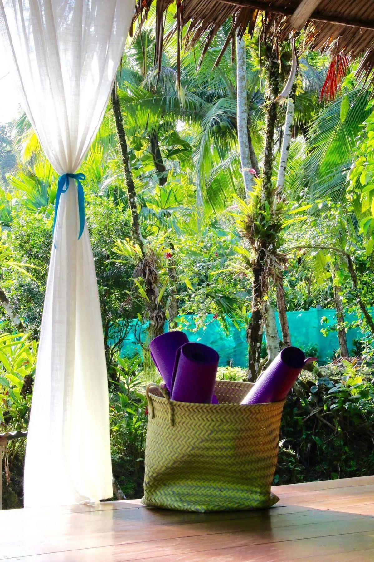 Magellan Boutique Hotel Cahuita Eksteriør billede