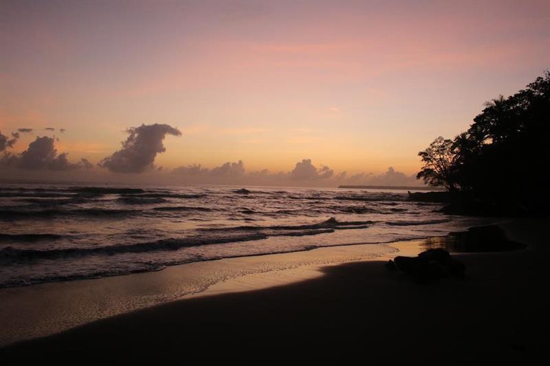 Magellan Boutique Hotel Cahuita Eksteriør billede